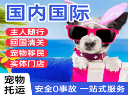 扎兰屯航空托运国际宠物托运 【国